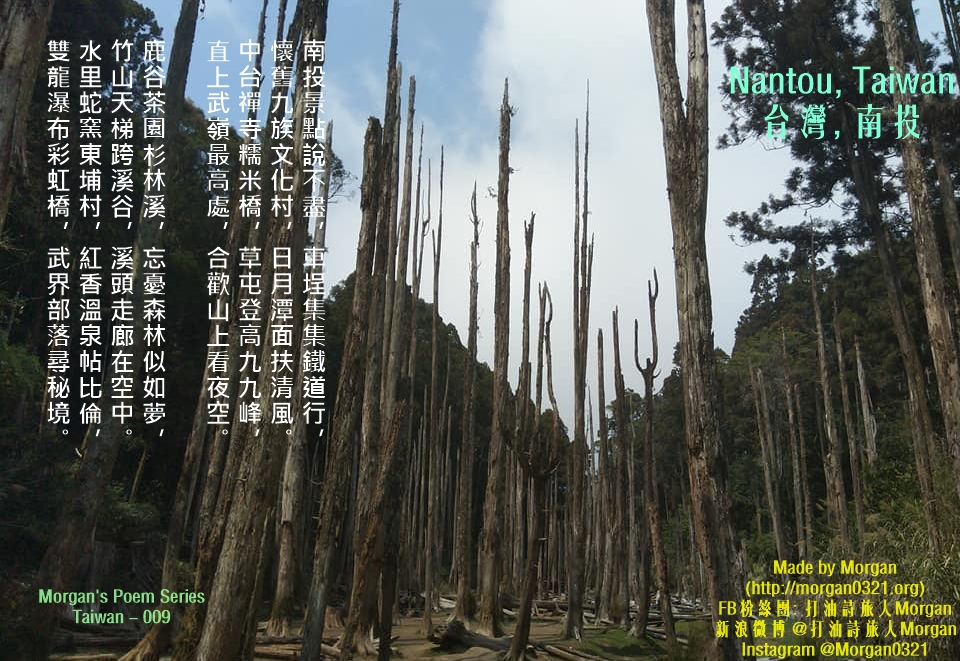 南投忘憂森林